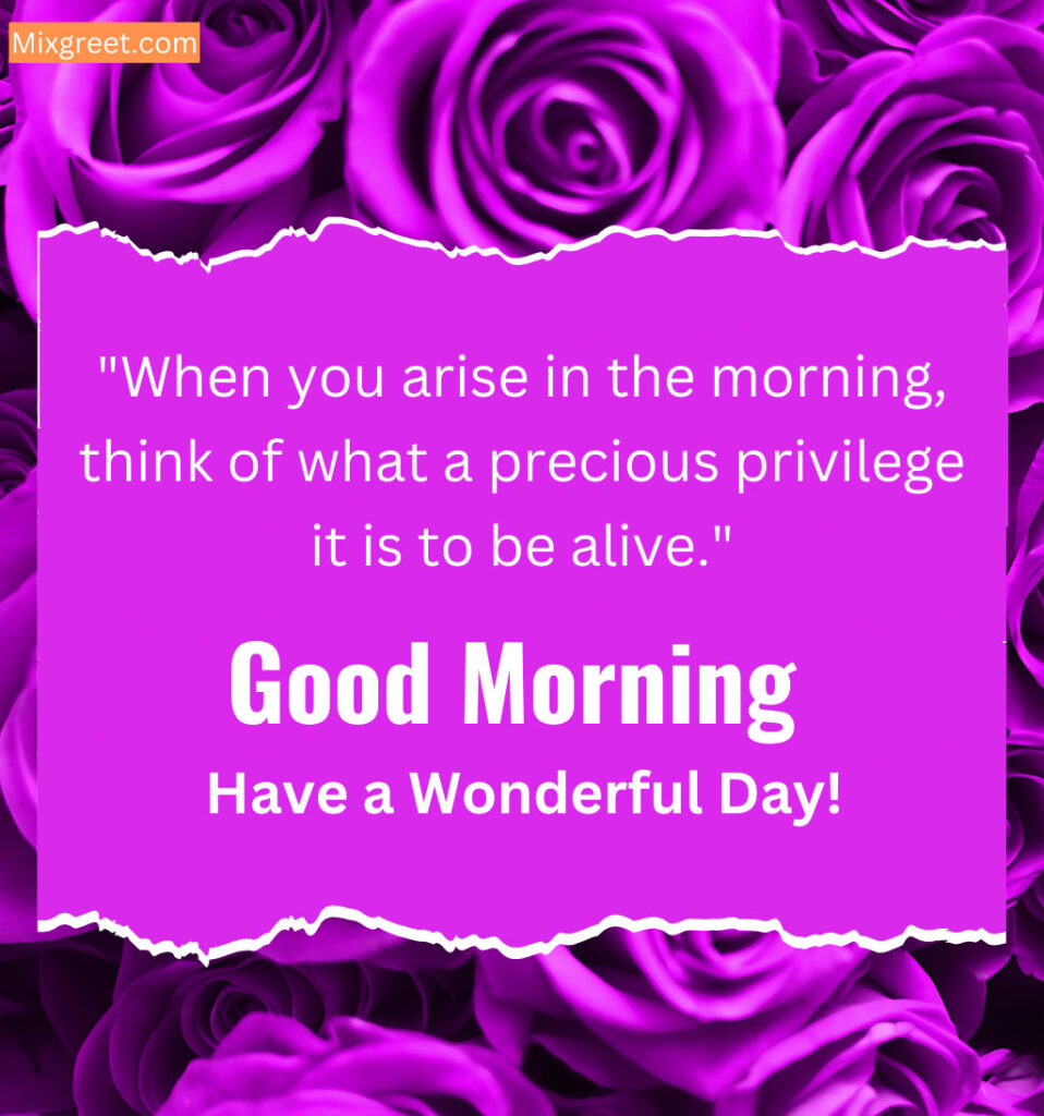 Roses With Good Morning in Pink Background