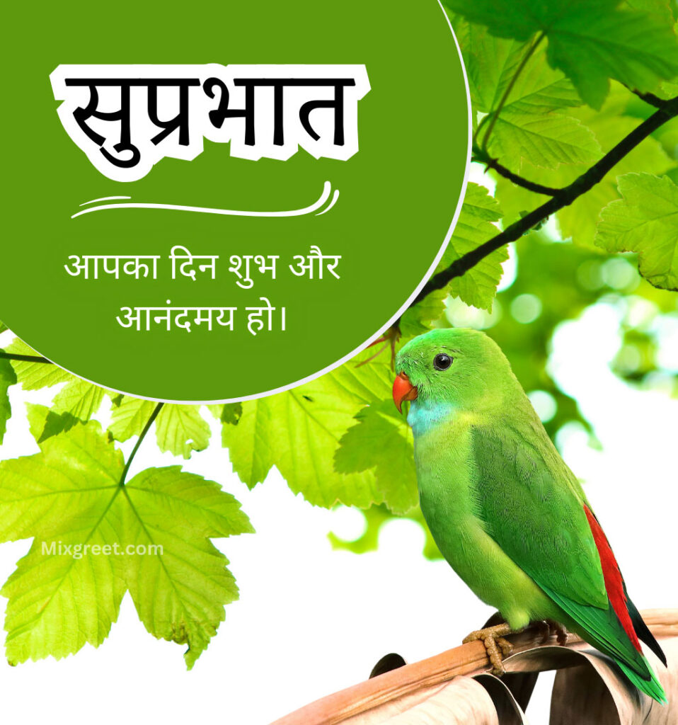 Suprabhat Good Morning Images with parrot bird