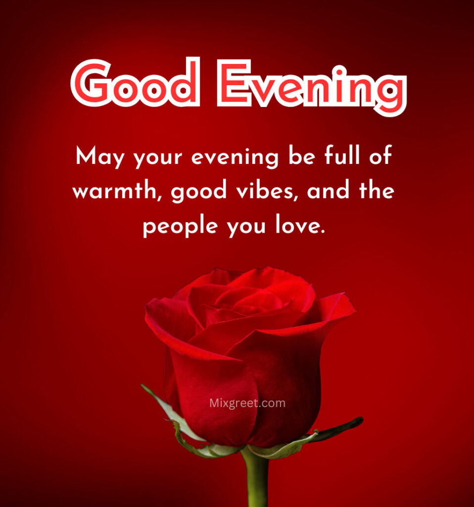 Good Evening Quotes With Red Rose