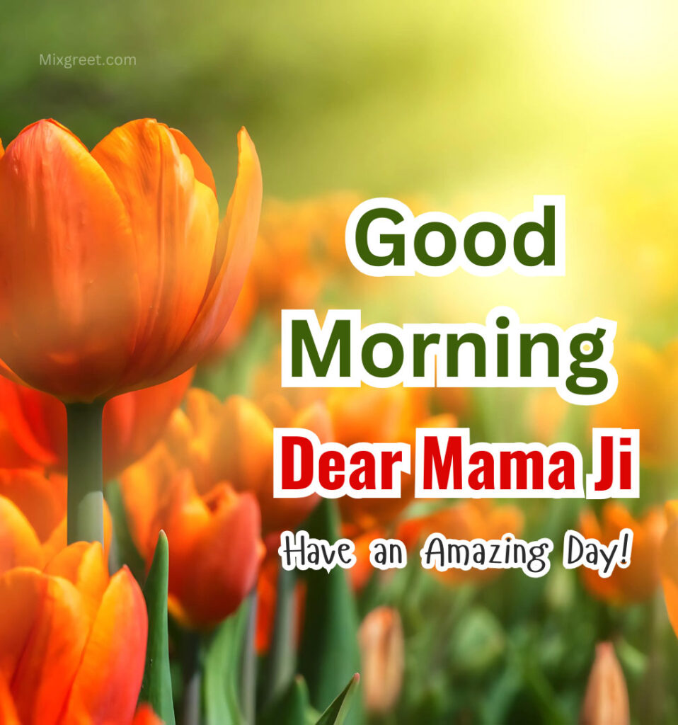 Good Morning Wishes for Mama jI with Flowers