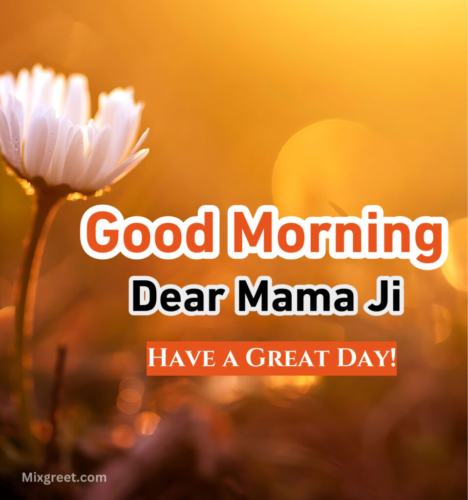 Good Morning Wishes for Mama jI with Flowers