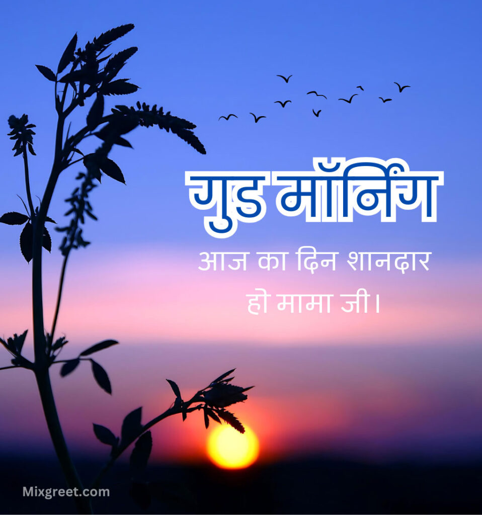 Good Morning Wishes for Mama jI in Hindi