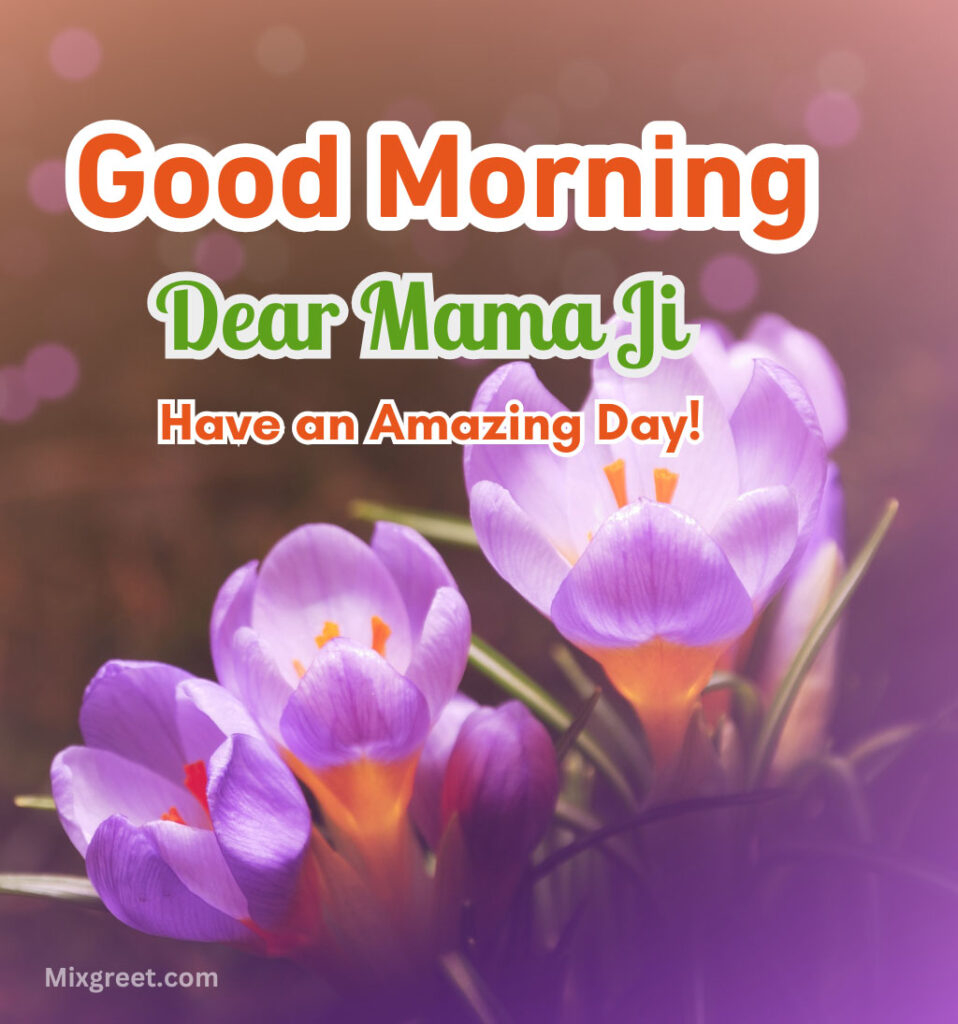 Good Morning Mama Ji Wishes