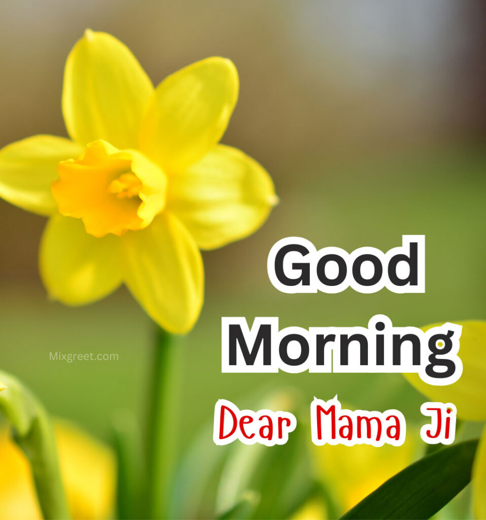 Mama Ji Good Morning Images