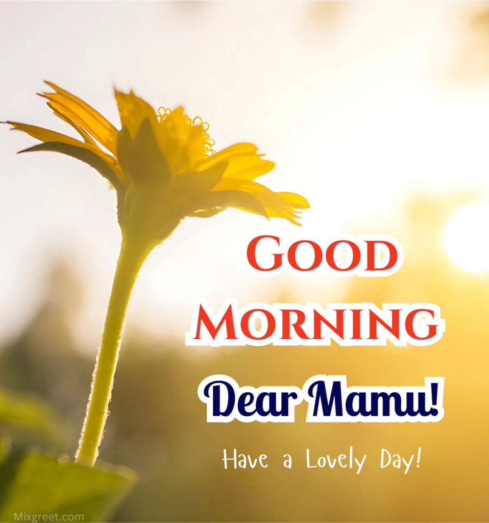 Mama Ji Good Morning Images with Flowers