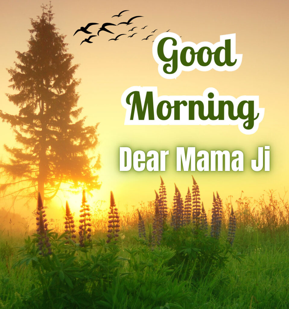 Good Morning Mama Ji