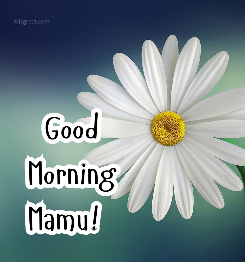 Good Morning Mamu Images 