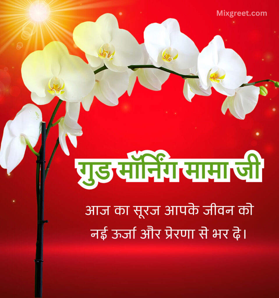 Good Morning Mama Ji Wishes in Hindi