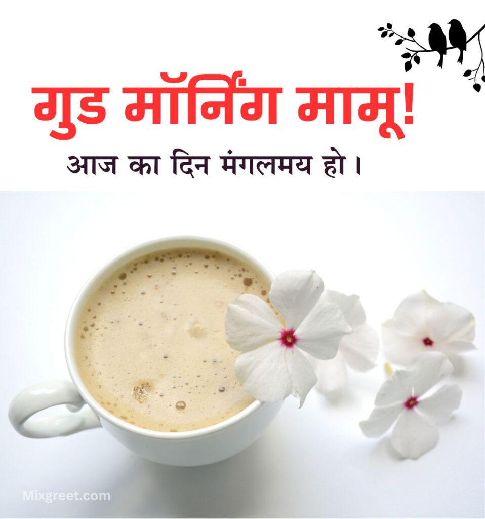 Good Morning Mama Ji Images in Hindi