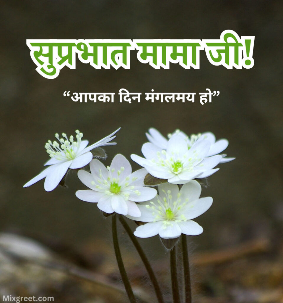 Good Morning Mama Ji Images in Hindi with Flowers