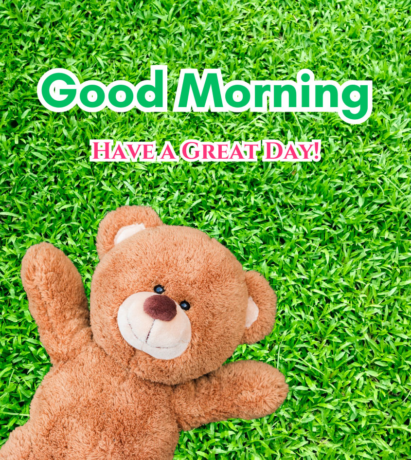 Good Morning Greetings with Cute Teddy Bear