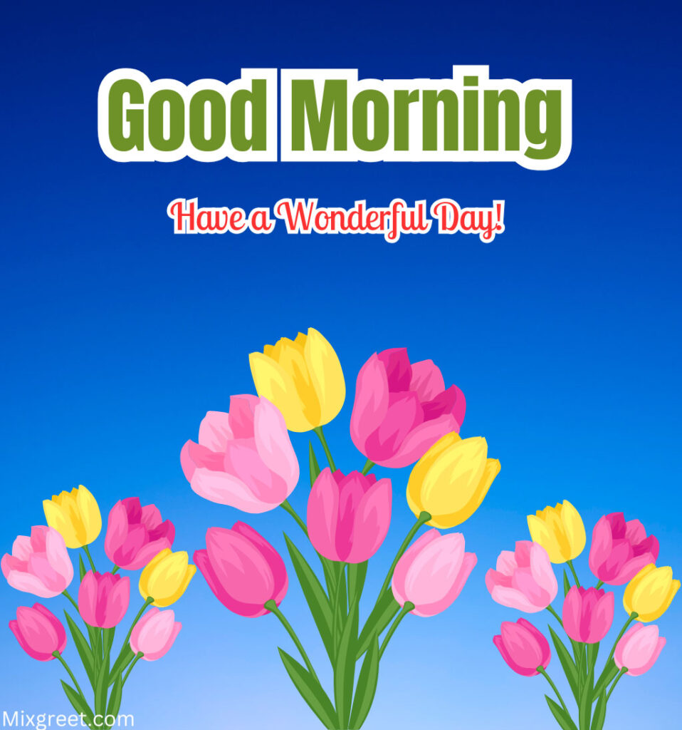 Morning Greetings With Tulips Flowers