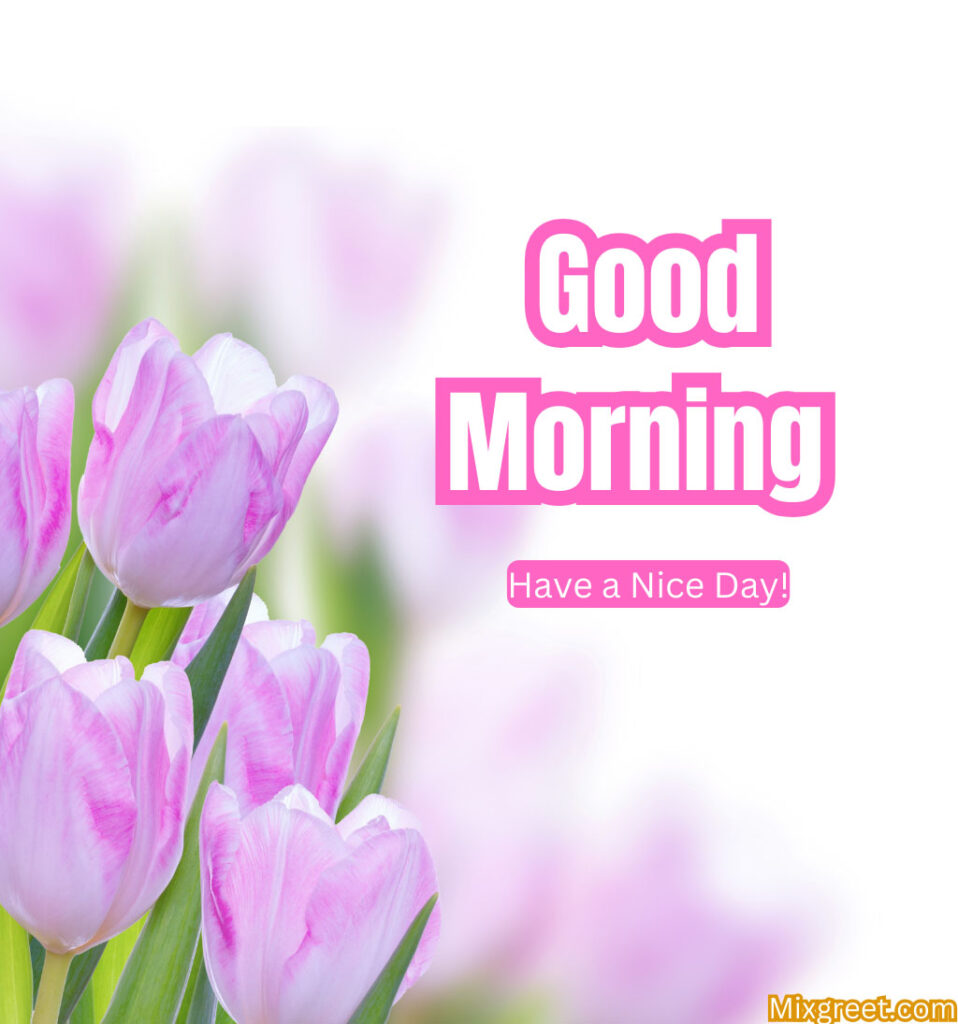 Good Morning greetings with tulips flowers