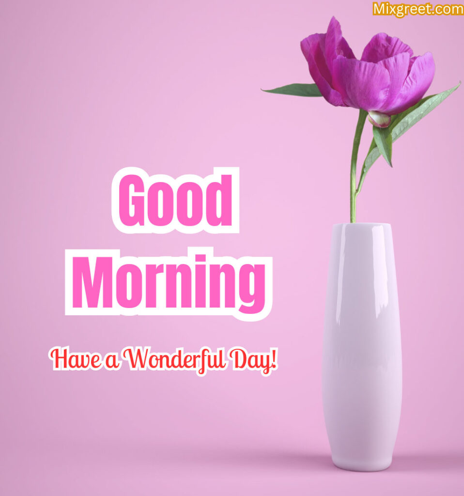 Good Morning Tulips Flowers Images