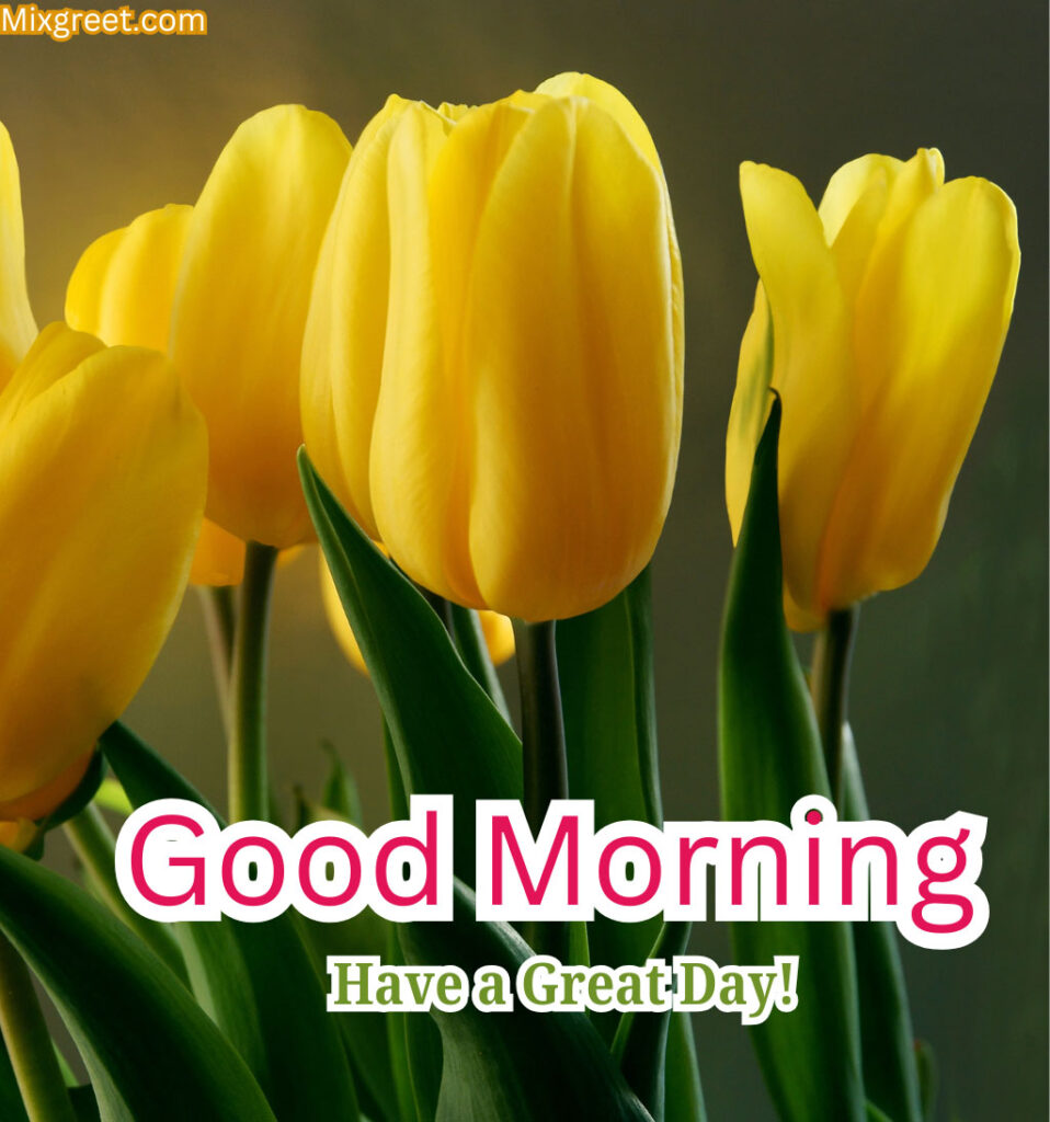 Good Morning Wishes With Yellow Tulips Flowers