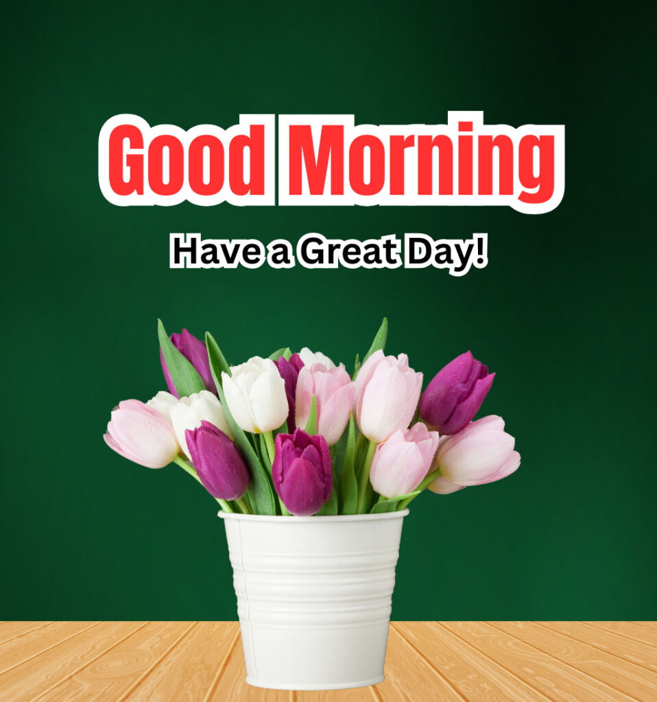 Good Morning Have a Great Day With Tulips Flowers