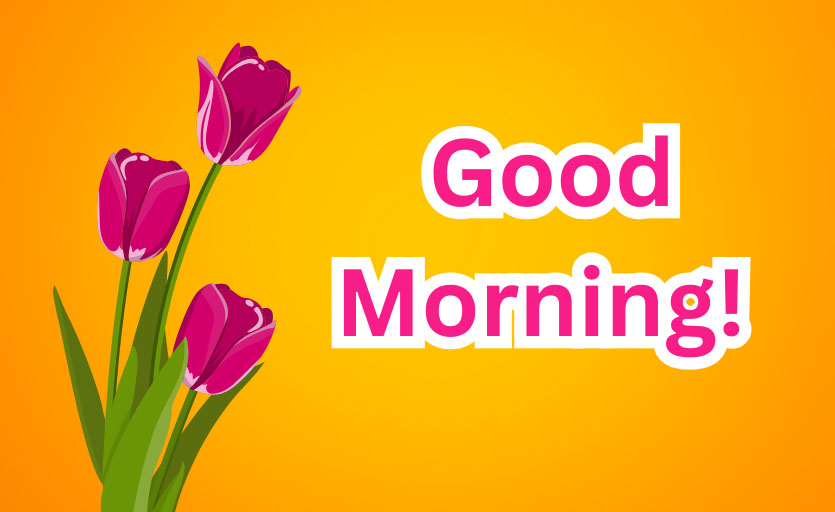 Good Morning Tulips Flowers Images