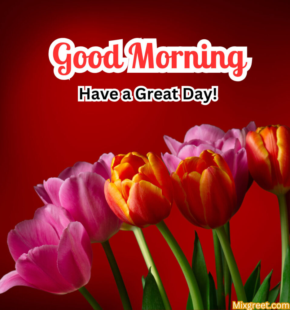 Good Morning Tulips Flowers