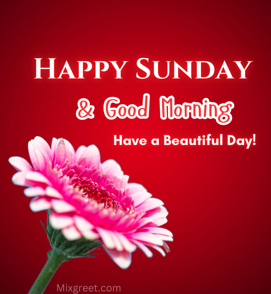 Happy Sunday Morning Wishes