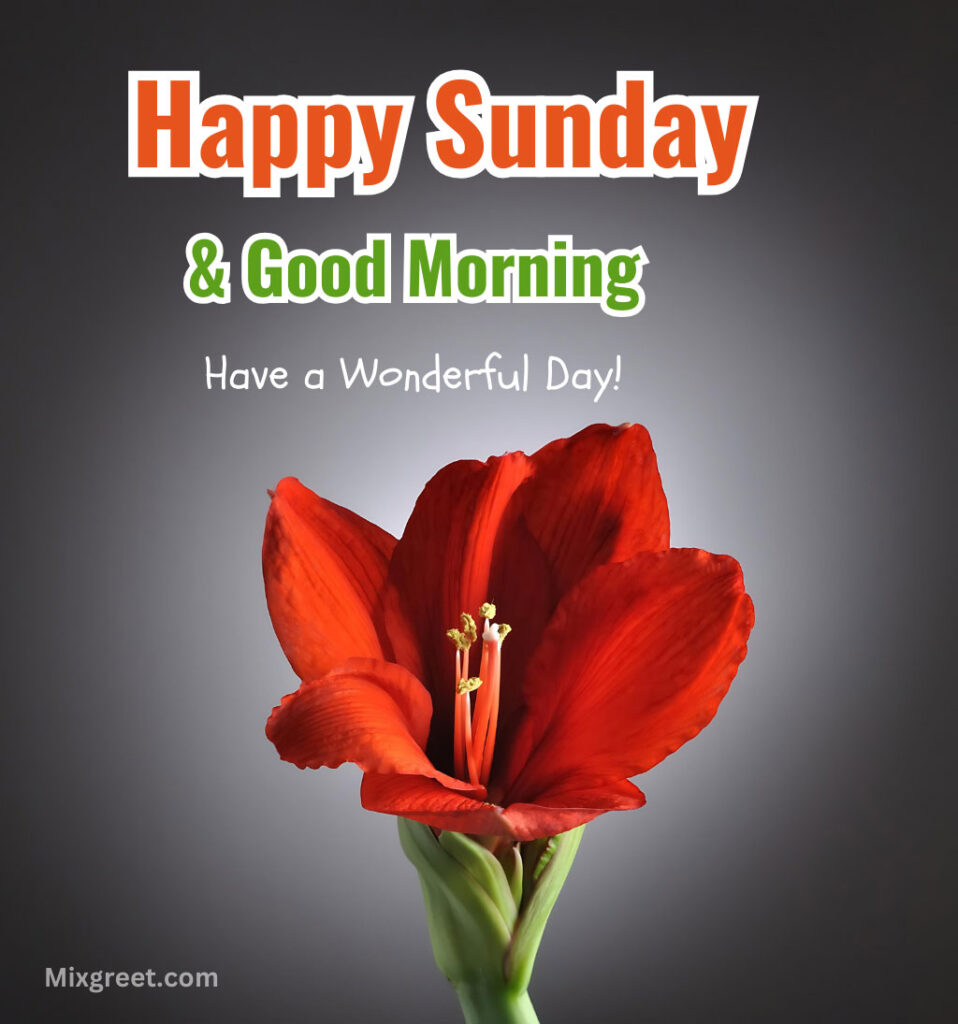 Happy Sunday Good Morning Images