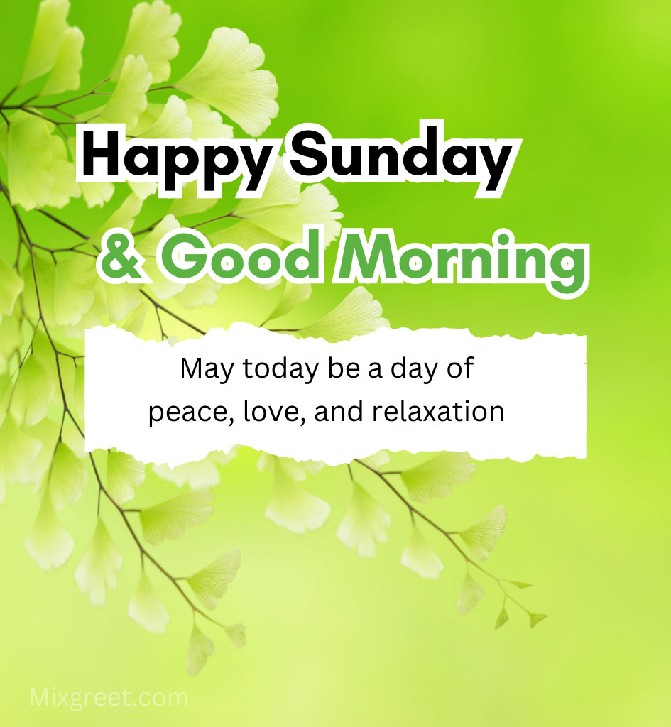 Happy Sunday Quotes