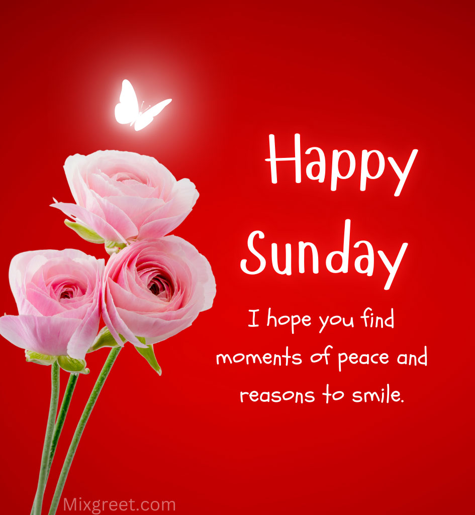 Happy Sunday Wishes with Rose