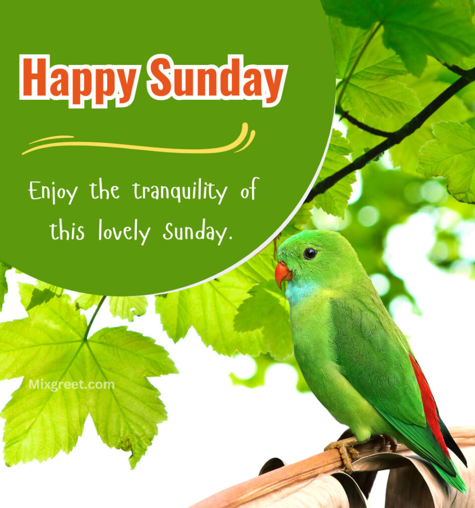 Happy Sunday Wishes