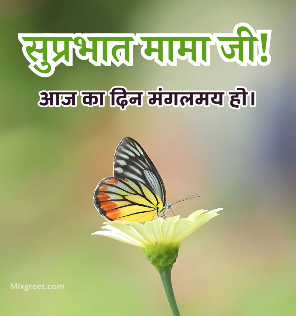 Good Morning Mama Ji Wishes in Hindi