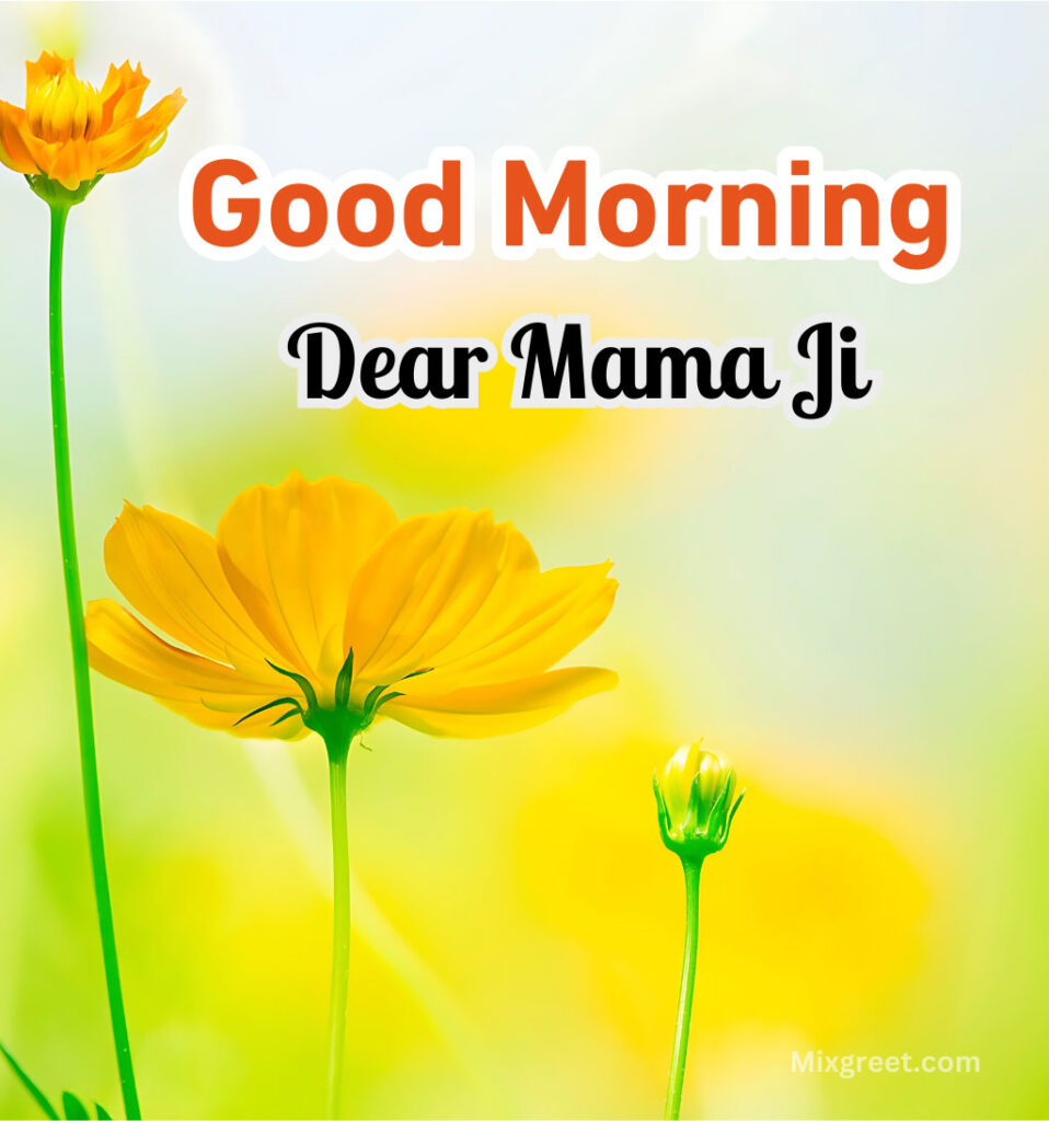 Good Morning Mama Ji Wishes