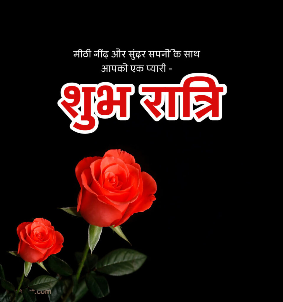 Shubh Ratri Good Night Hindi Images with rose