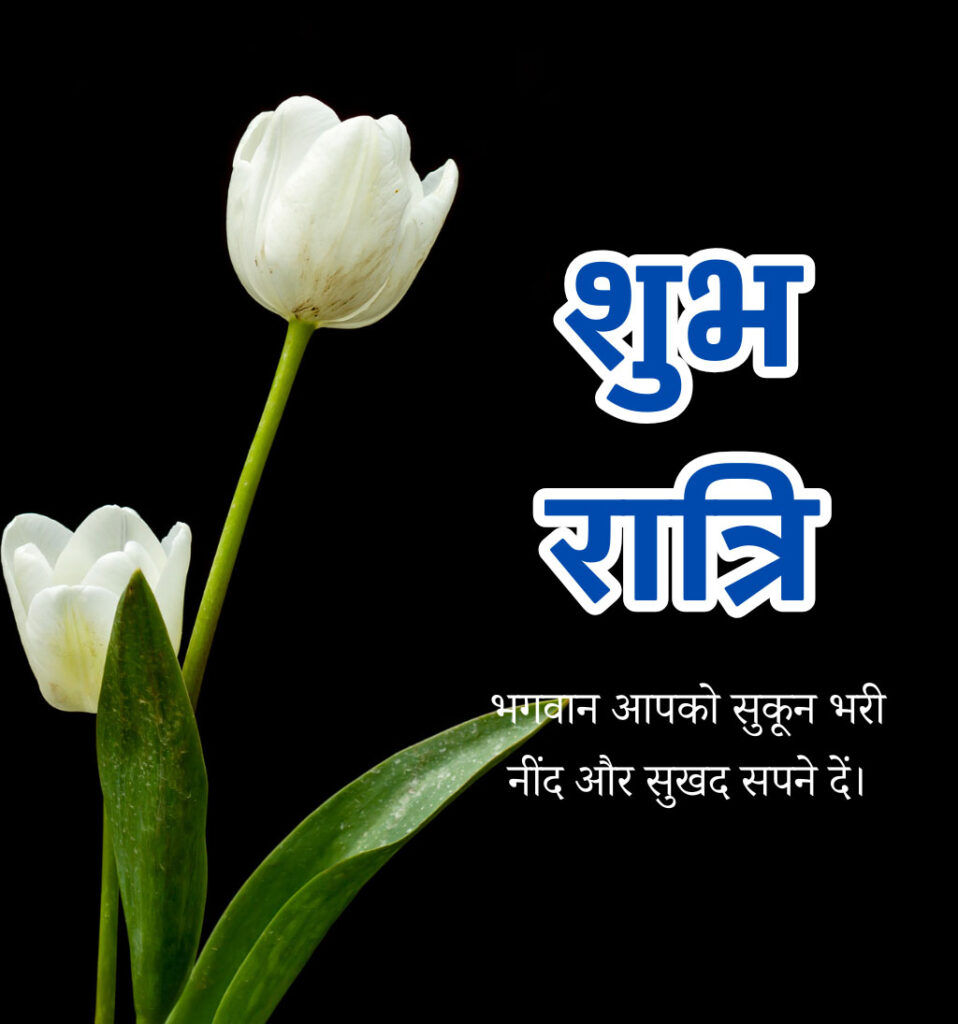 Shubh Ratri Good Night Hindi Images with Tulips