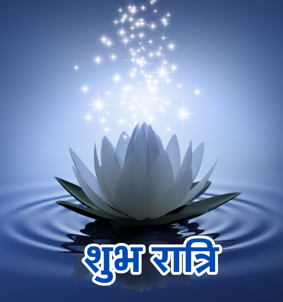 Shubh Ratri Good Night Hindi Images with Flower