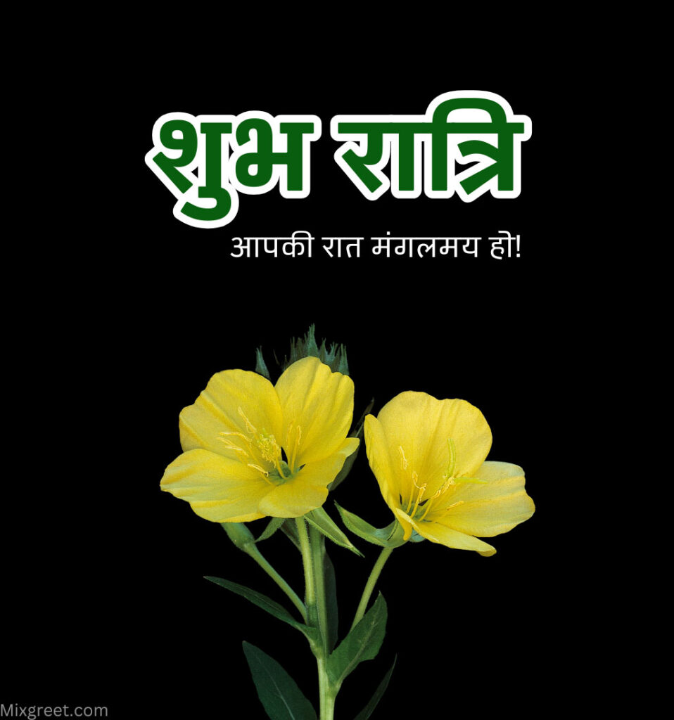 Shubh Ratri Hindi Images Flower