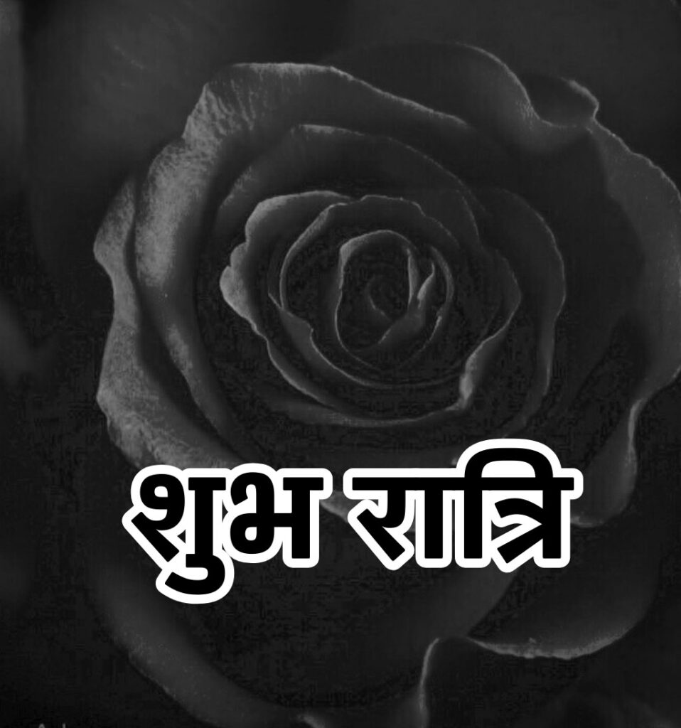 Shubh Ratri Good Night Hindi Images rose