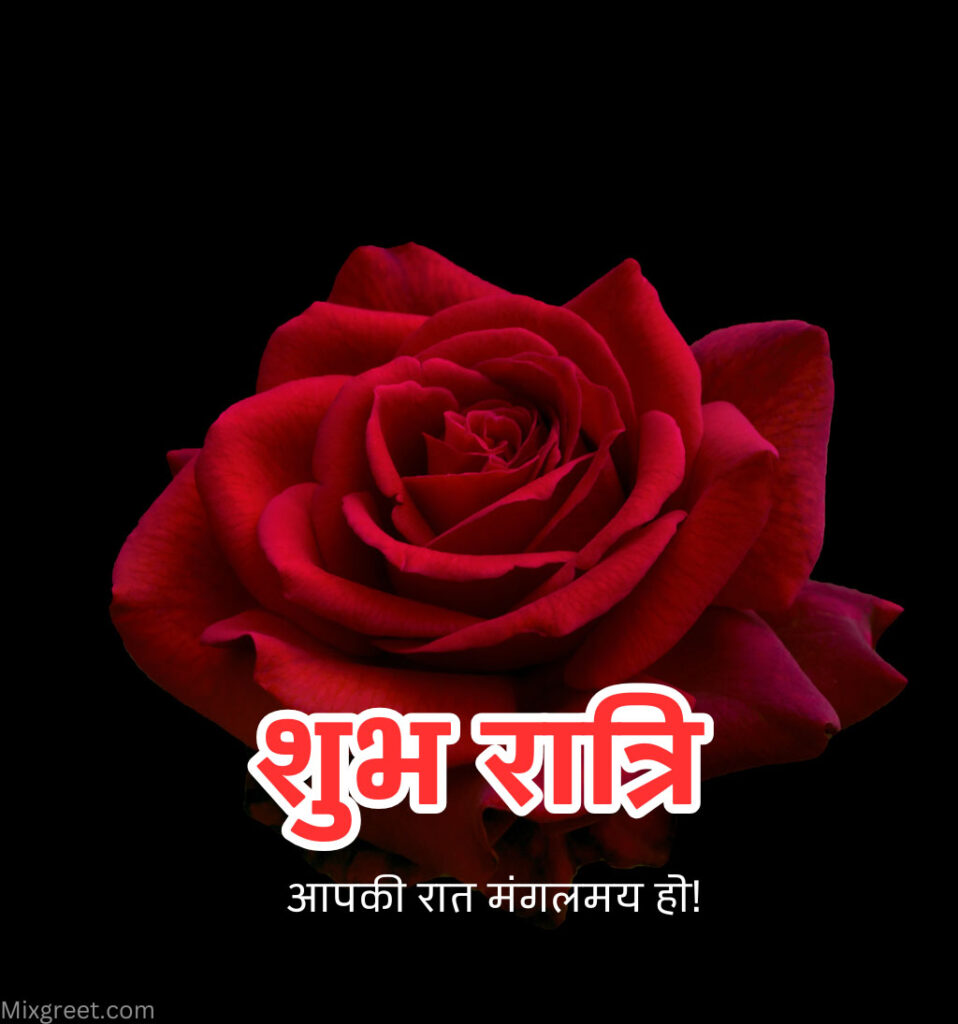 Shubh Ratri Hindi Images Rose
