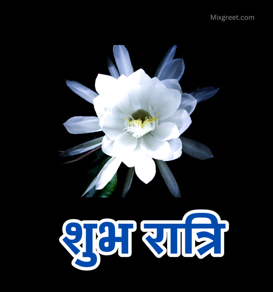 Shubh Ratri Hindi Images Flower