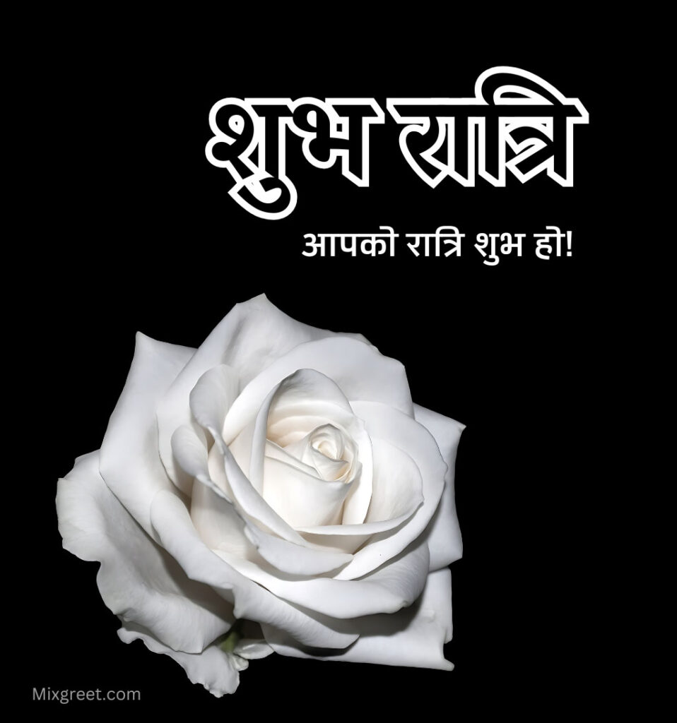 Shubh Ratri Good Night Hindi Images with Rose