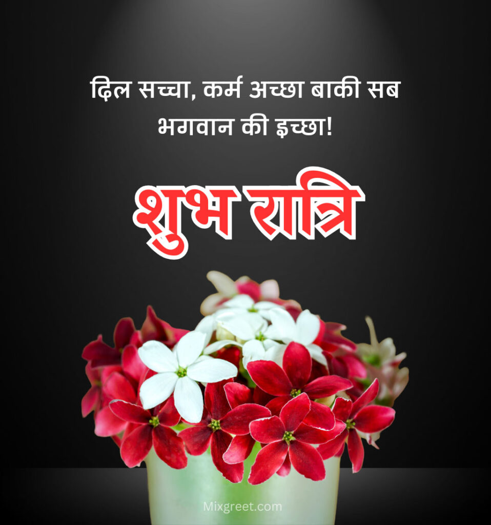 Shubh Ratri Good Night Hindi Images with flowers