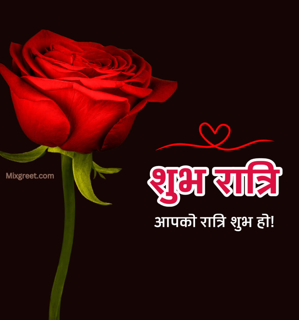 Shubh Ratri Hindi Images with Rose