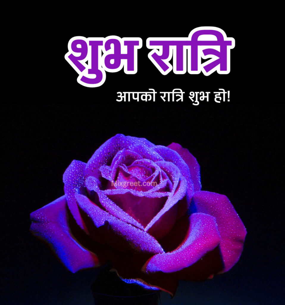 Shubh Ratri Hindi Images with Rose