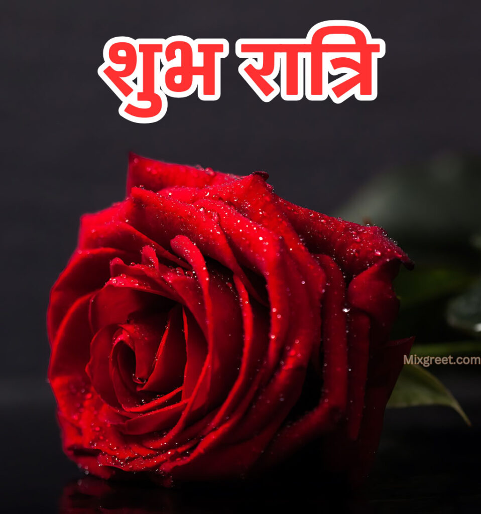 Shubh Ratri Good Night Hindi Images