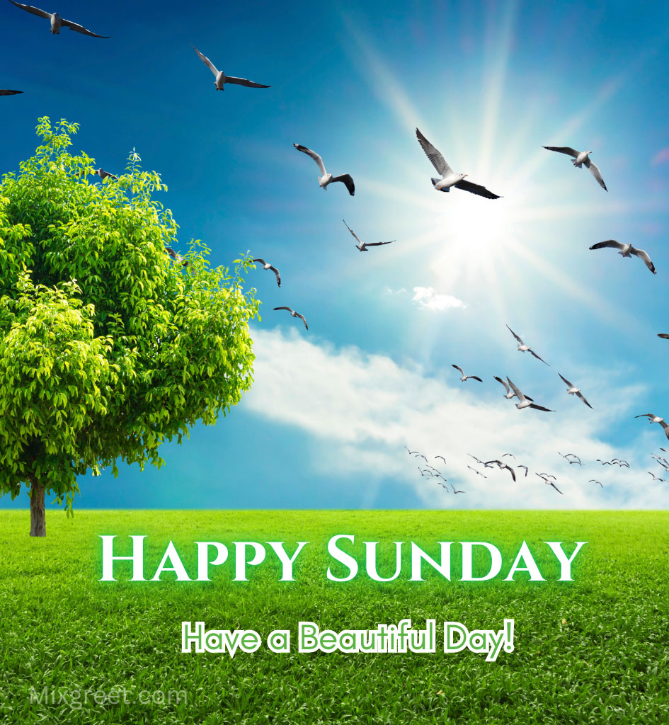 Happy Sunday Images with Bright Nature Background